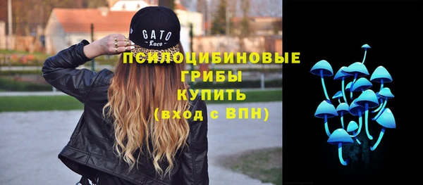 дмт Мегион
