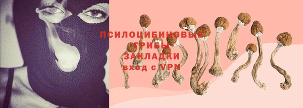 дмт Мегион