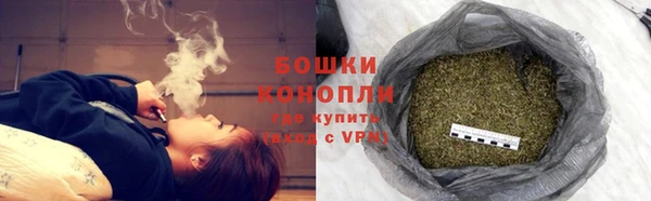 дурь Бердск