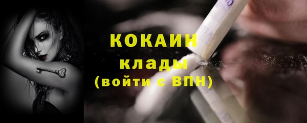 индика Медногорск