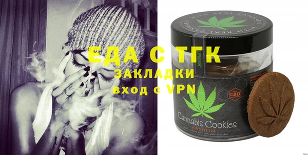 индика Медногорск