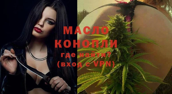 индика Медногорск