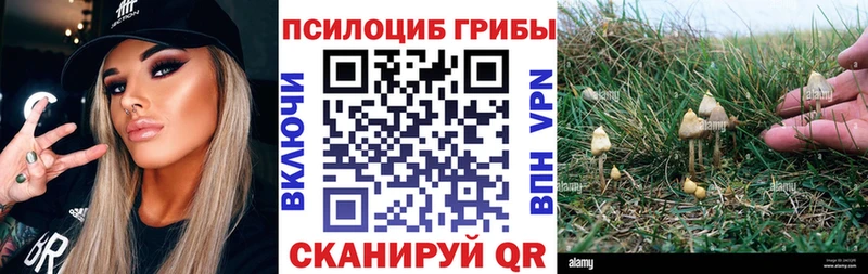 что такое   Новоалександровск  мега ТОР  Галлюциногенные грибы ЛСД 